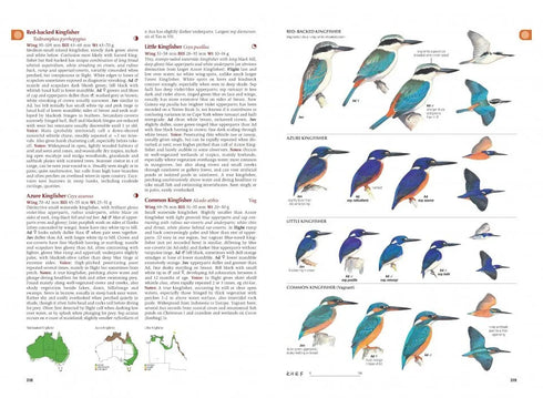 Australian Bird Guide, revised edition (Helm Field Guides) Flexi - Menkhorst, P. ym. 2024